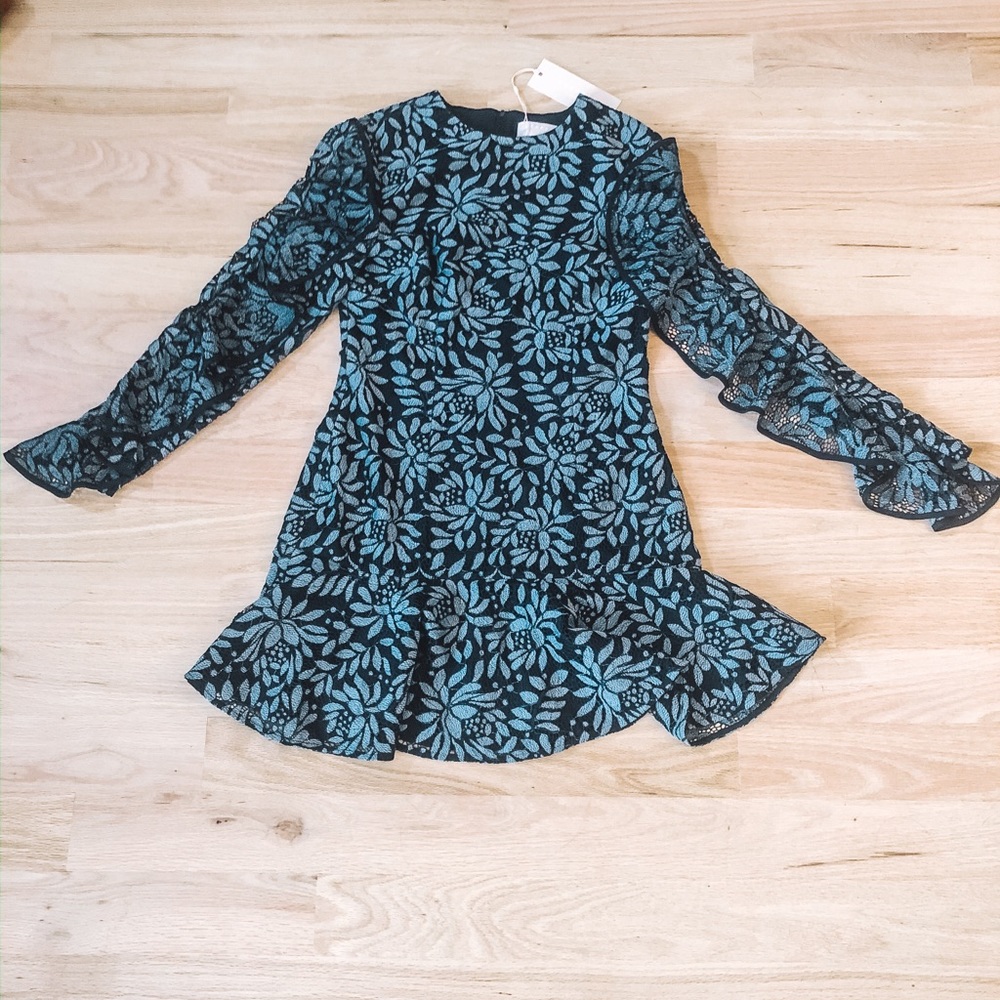 Long Sleeved Lace Dress from LuLus